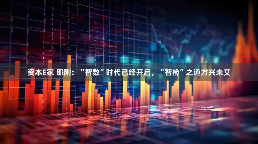 资本E家 邵刚：“智数”时代已经开启，“智检”之道方兴未艾