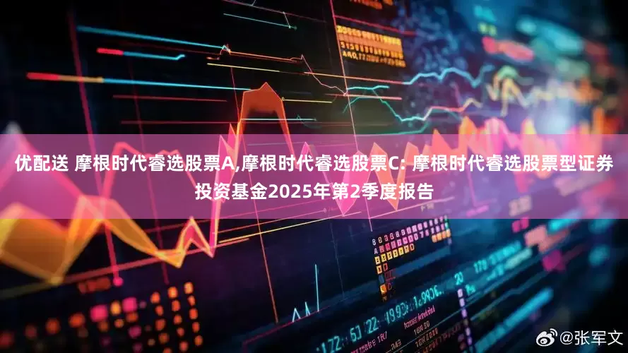 优配送 摩根时代睿选股票A,摩根时代睿选股票C: 摩根时代睿选股票型证券投资基金2025年第2季度报告