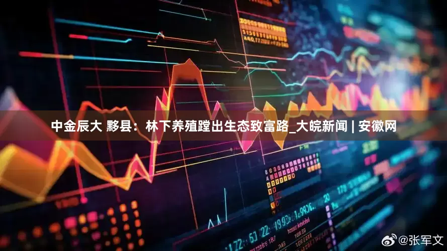 中金辰大 黟县：林下养殖蹚出生态致富路_大皖新闻 | 安徽网