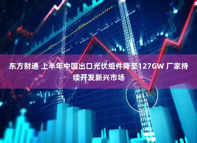 东方财通 上半年中国出口光伏组件降至127GW 厂家持续开发新兴市场