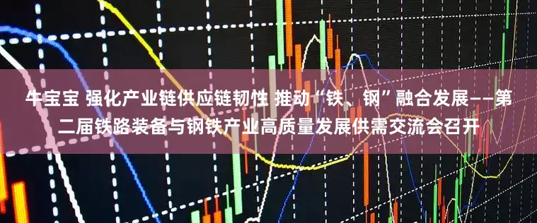 牛宝宝 强化产业链供应链韧性 推动“铁、钢”融合发展——第二届铁路装备与钢铁产业高质量发展供需交流会召开