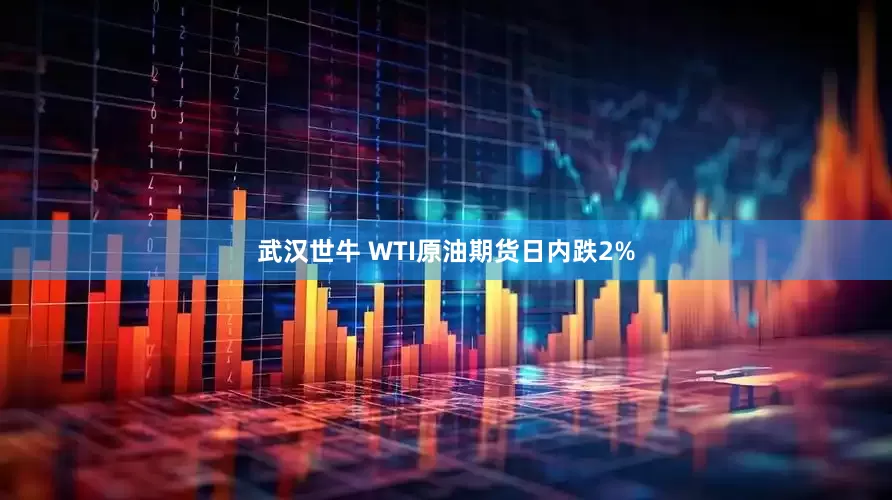 武汉世牛 WTI原油期货日内跌2%